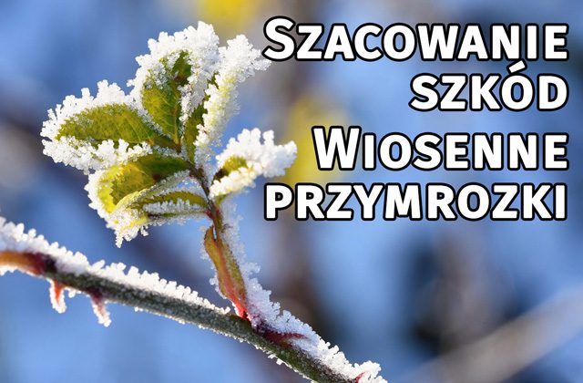 Szacowanie szkód - przymrozki wiosenne
