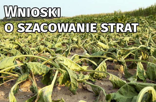 Wnioski o szacowanie strat
