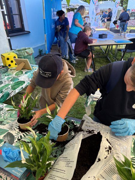 Warszaty sadzenia roślin