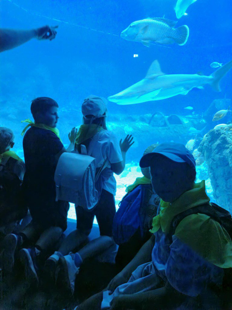 Dzieci, uczestnicy półkolonii podczas wycieczki