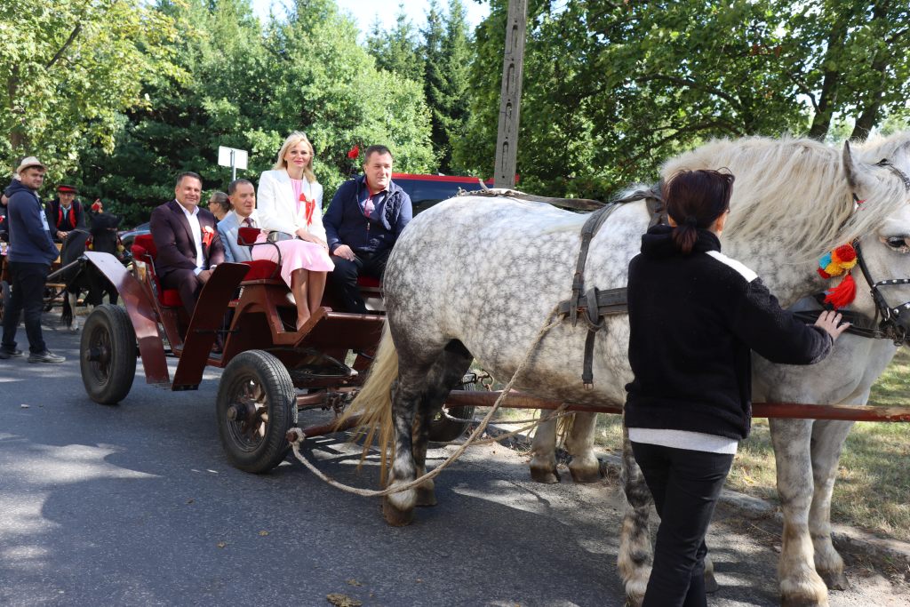 Święto Chleba 2025 Radziejowice korowód z bryczkami