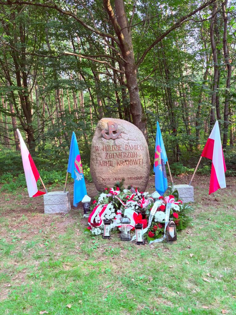Pomnik poświęcony żołnierzom Armii Krajowej otaczają biało-czerwone wiązanki, znicze oraz flagi Polski i Gminy Radziejowice. Tło stanowi las.
