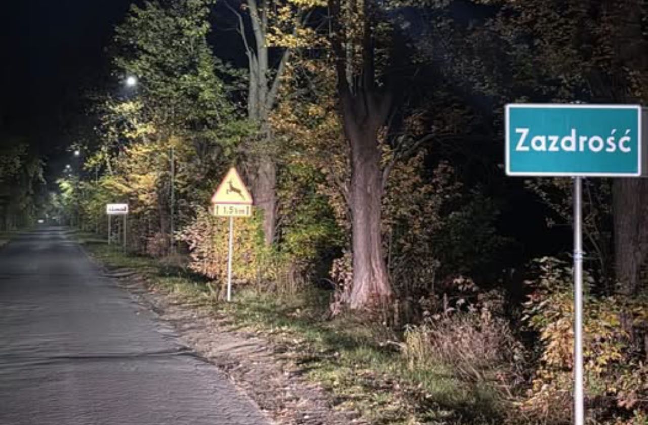 zdjęcie oświetlenia przydrożnego i znak z napisem ZAZDROŚĆ
