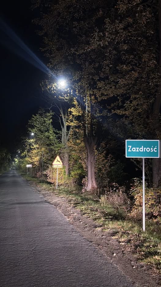 zdjęcie oświetlenia przydrożnego i znak z napisem ZAZDROŚĆ